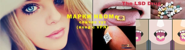 гидра Волоколамск