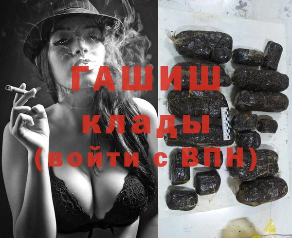 гидра Волоколамск
